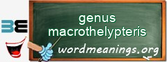 WordMeaning blackboard for genus macrothelypteris